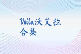 Voila沃艾拉合集