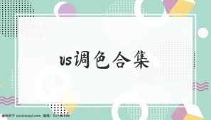 vs调色合集