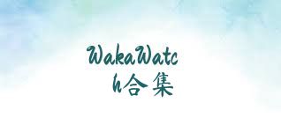 WakaWatch合集
