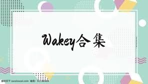 Wakey合集