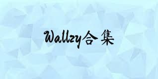 Wallzy合集