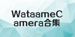 WataameCamera合集