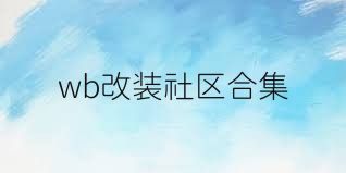 wb改装社区合集