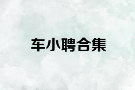 车小聘合集