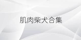 肌肉柴犬合集