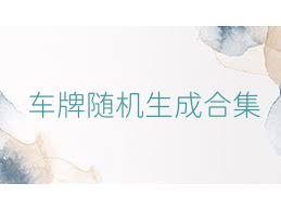 车牌随机生成合集