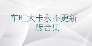 车旺大卡永不更新版合集