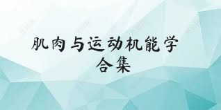 肌肉与运动机能学合集