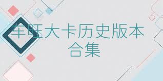 车旺大卡历史版本合集