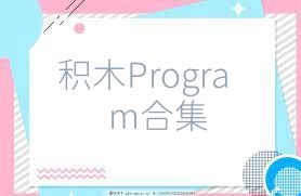 积木Program合集