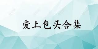 爱上包头合集