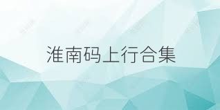 淮南码上行合集