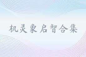 机灵象启智合集