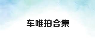 车唯拍合集