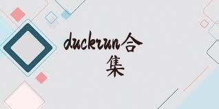 duckrun合集