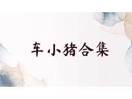 车小猪合集