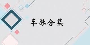 车脉合集