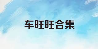 车旺旺合集