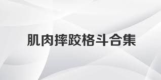 肌肉摔跤格斗合集