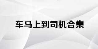 车马上到司机合集