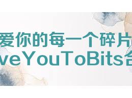 爱你的每一个碎片LoveYouToBits合集
