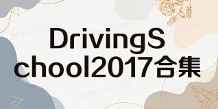 DrivingSchool2017合集