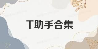 T助手合集