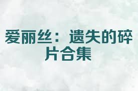 爱丽丝：遗失的碎片合集
