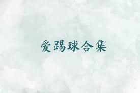 爱踢球合集