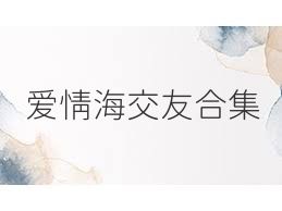 爱情海交友合集