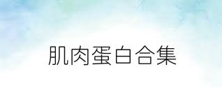 肌肉蛋白合集