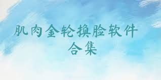 肌肉金轮换脸软件合集