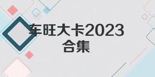 车旺大卡2023合集