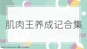 肌肉王养成记合集