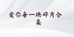 爱你每一块碎片合集