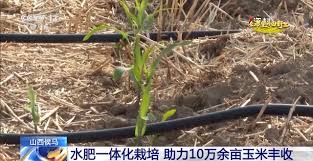 智慧滴灌合集