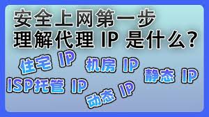芝麻动态IP合集