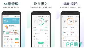 智+体温合集
