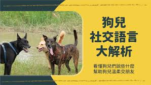 知心交友合集