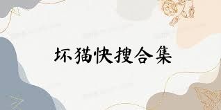 坏猫快搜合集