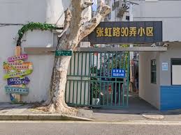 知悦世界街景合集