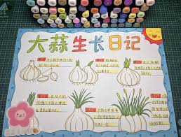 植物日记合集