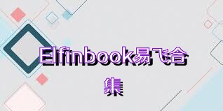 Elfinbook易飞合集