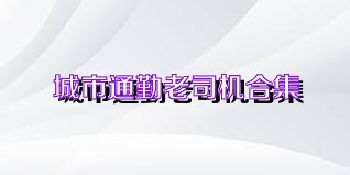 城市通勤老司机合集