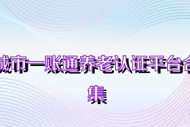城市一账通养老认证平台合集