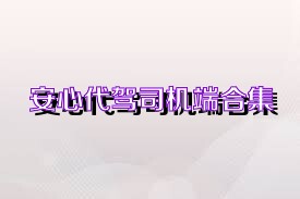 安心代驾司机端合集