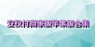 安权付商家版苹果版合集