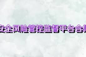 安全风险管控监督平台合集