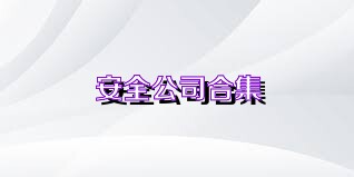 安全公司合集