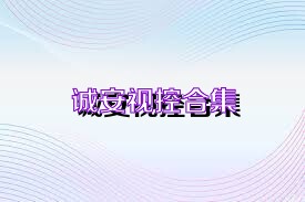 诚安视控合集